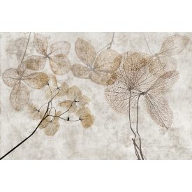 Instabilelab / Sfumature di magnolia