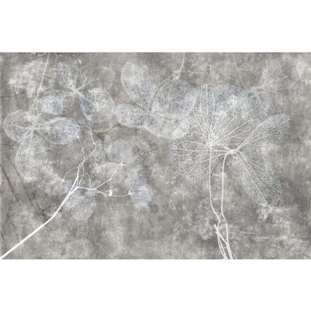 Instabilelab / Sfumature di magnolia