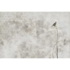 Instabilelab / Memories