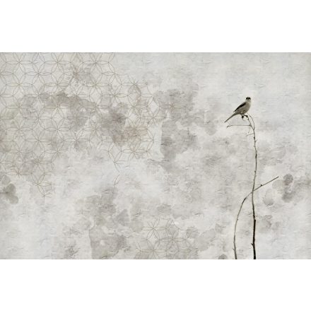 Instabilelab / Memories