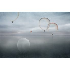 Instabilelab / Sfumature di magnolia