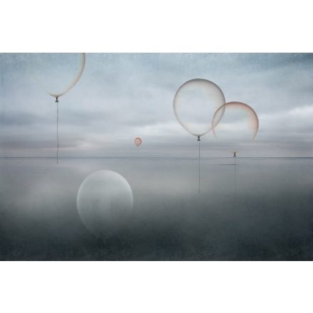 Instabilelab / Sfumature di magnolia