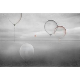 Instabilelab / Sfumature di magnolia