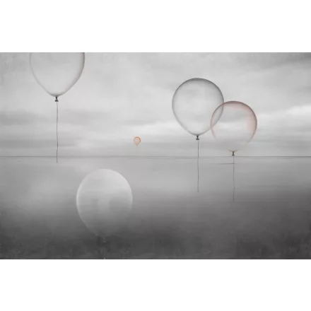 Instabilelab / Sfumature di magnolia