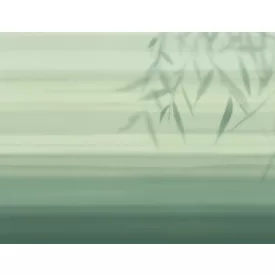 Tecnografica / Bioliving