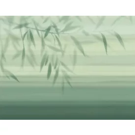 Tecnografica / Bioliving