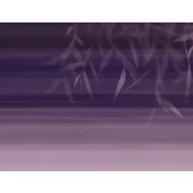 Tecnografica / Bioliving