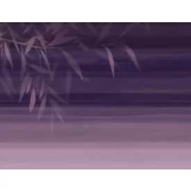 Tecnografica / Bioliving