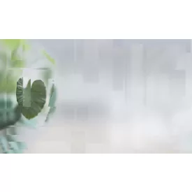 Tecnografica / Bioliving