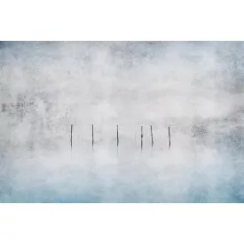 Instabilelab / Sfumature di magnolia