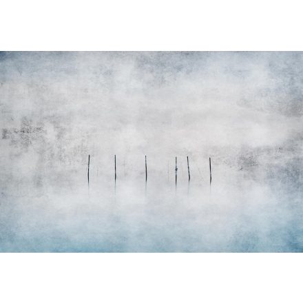 Instabilelab / Sfumature di magnolia