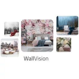 Wallvision