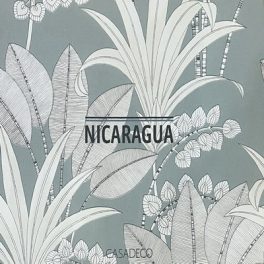 Nicaragua tapéta