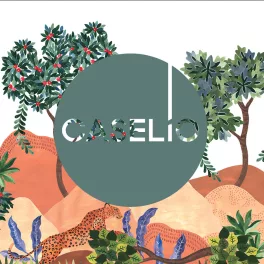 Caselio
