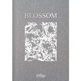Blossom tapéta