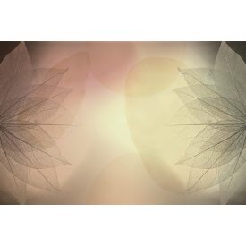 Instabilelab / Remember me