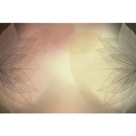 Instabilelab / Remember me