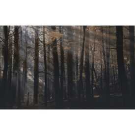 LondonArt / Dsquared2