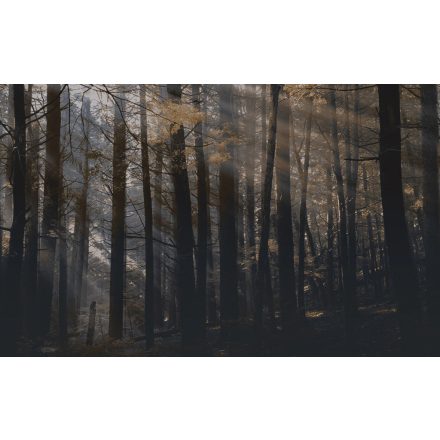 LondonArt / Dsquared2