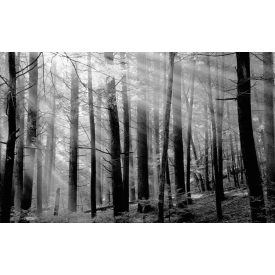 LondonArt / Dsquared2