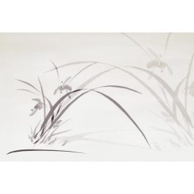 Instabilelab / Sfumature di magnolia