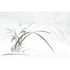 Instabilelab / Sfumature di magnolia