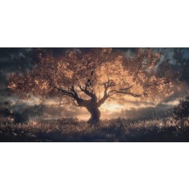 LondonArt / Contemporary Ornament