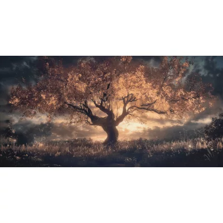 LondonArt / Contemporary Ornament