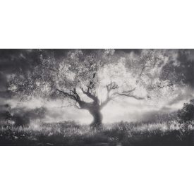 LondonArt / Contemporary Ornament