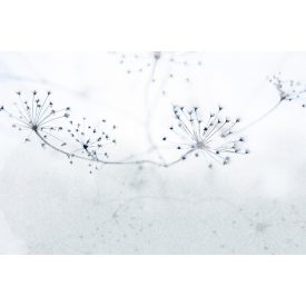 Instabilelab / Sfumature di magnolia