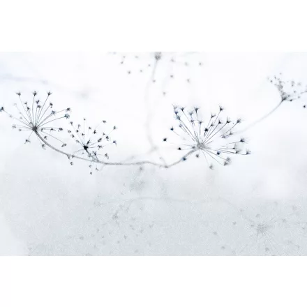 Instabilelab / Sfumature di magnolia