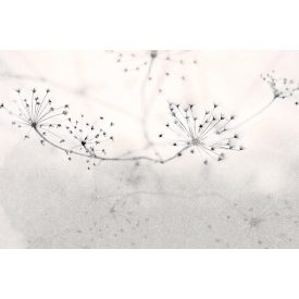 Instabilelab / Sfumature di magnolia