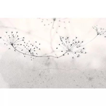 Instabilelab / Sfumature di magnolia