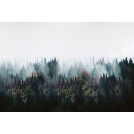 Instabilelab / Memories