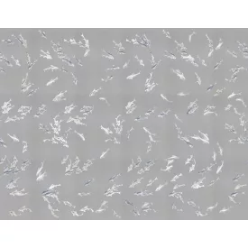 LondonArt / Tale Books