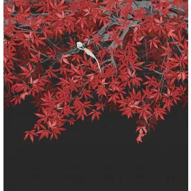 LondonArt / Tale Books