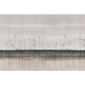 Instabilelab / Sfumature di magnolia