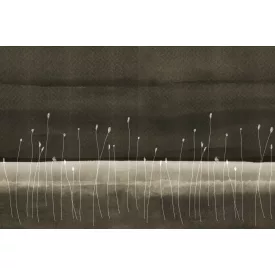 Instabilelab / Sfumature di magnolia