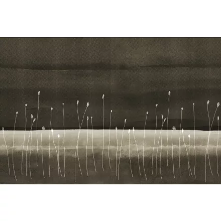 Instabilelab / Sfumature di magnolia