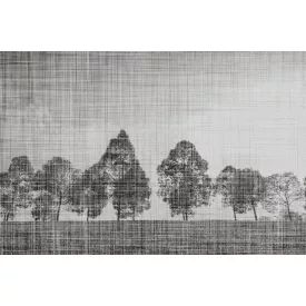 Instabilelab / Sfumature di magnolia