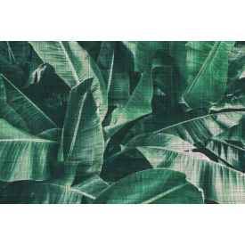 Instabilelab / Sfumature di magnolia