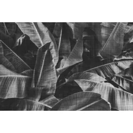 Instabilelab / Sfumature di magnolia