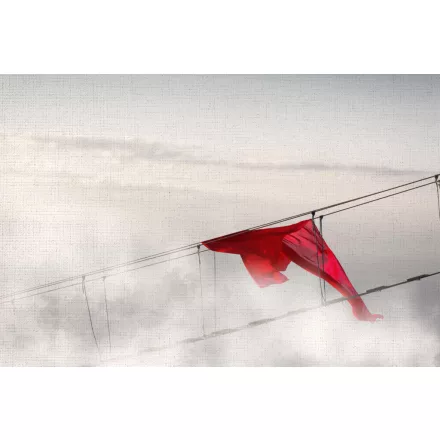 Instabilelab / Sfumature di magnolia